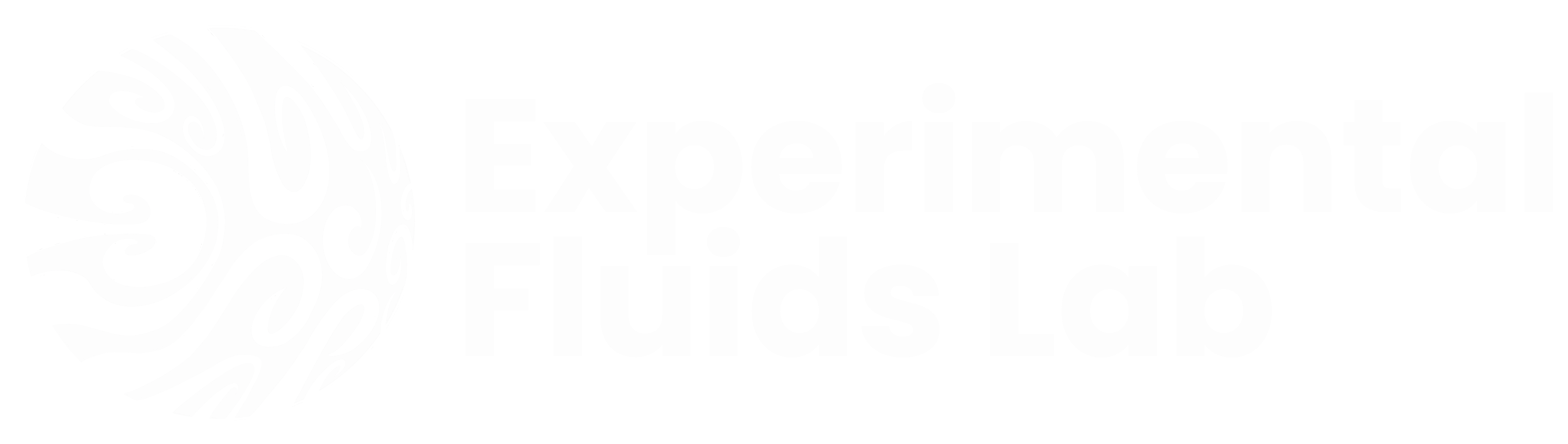 Experimental Fluids Logo